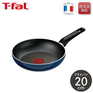 eBt@[ Cu[ECeXtCp 20cm D53302KXΐp t tCpv y тɂ  