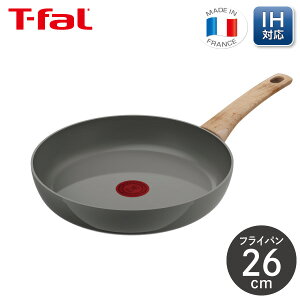 eBt@[ IHZ~bNOCh A[XO[ tCp 26cm C44205t ihΉ ih KX  Ȃ߂炩 тɂ