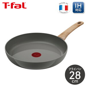 eBt@[ IHZ~bNOCh A[XO[ tCp 28cm C44206t ihΉ ih KX  Ȃ߂炩 тɂ