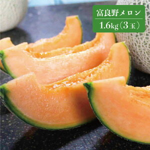 y\̔7{`9{zxǖ상 1.6kg 3 kC Y Yn  [Z ԓ ԓ 3Yn ʕ  VNʕ k̑n kCY s