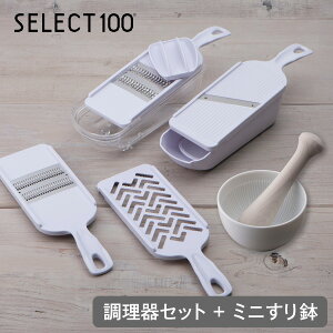 y炵IWiZbgzL ZNg100 Zbg DH3027 { ~j蔫 DH3020 Zbg XCT[ ؂ 낵 蔫