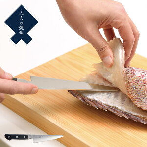  OTS8011 I[NX l̏ċ   ΂ XeX O Y