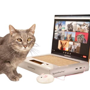 PC^ Lp ܂Ƃ ܌ ˂ݕt {[t  u^ bNX XgX 킢 ʔ