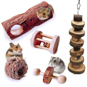 nX^[ ؐ  5_ Zbg  {[ [[  ^  m ߋ