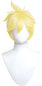 EBbO  RXvEBbO  Lolita cosplayj  fB[XlHуnEB NX}X  Cxg ϑp ϔM wig lbgt