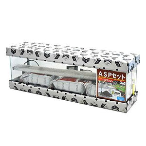 Zbg ANAVXe ASPZbg Vvp NXeBX900LED 50Hz