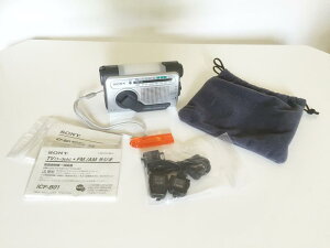 SONY ��񂵏[�d���W�I �I�����W