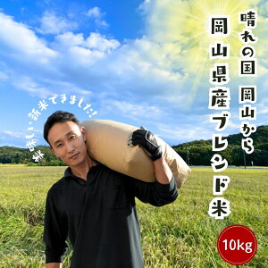 yVāz ߘa7NY ̍  10kg 20k    RY uh Z[  