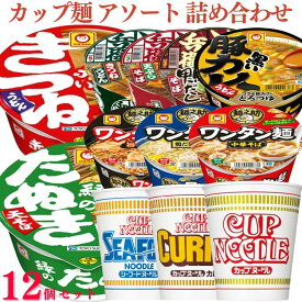 【送料無料】【12個セット】 日清食品 カップヌードル どん兵衛 マルちゃん 赤いきつね 緑のたぬき ワンタン麺 カップ麺 アソート 詰め合わせ 各1個 カレー シーフード 黒い豚カレーうどん 鴨だしそば きつねうどん 天ぷらそば 中華そば 鶏だし塩そば