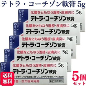 【指定第2類医薬品】【5個セット】 伊丹製薬 テトラ・コーチゾン軟膏 5g テトラ コーチゾン軟膏