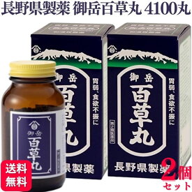 【第2類医薬品】【2個セット】 長野県製薬 御岳百草丸 4100丸 胃腸薬