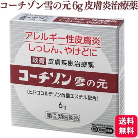 【第(2)類医薬品】 雪の元本店 コーチゾン雪の元 6g 皮膚炎 皮膚薬
