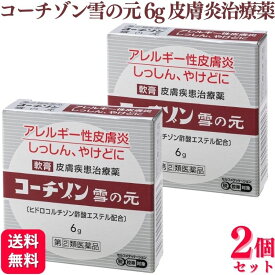 【第(2)類医薬品】【2個セット】 雪の元本店 コーチゾン雪の元 6g 皮膚炎 皮膚薬