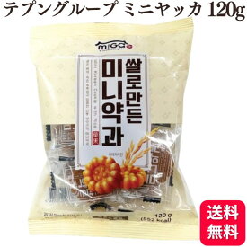 【送料無料】 【10個セット】 テプングループ ジャパン ミニ米ヤッカ 120g ミニヤッカ 個包装 ミニーヤッカ 韓国お菓子