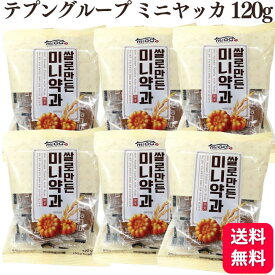 【送料無料】 【6個セット】 テプングループ ジャパン ミニ米ヤッカ 120g ミニヤッカ 個包装 ミニーヤッカ 韓国お菓子
