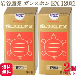 �y2�Z�b�g�z ��J�Y�� �K���X�|��EX 120�� �����ۂ� �T�v�������g �h�{�⋋ �C���^�j �T�v�� �r�^�~��E �T�v�������g �T�v���������� �����L���O ���R�~