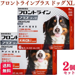 y1500~OFFN[|Ώہzy2Zbgz tgC vX hbO XL 6{ p tgC  XL 쏜 pi