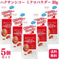 【5個セット】 中部薬品工業 ハクサンシコー ミクロパウダー 30g ブラシなし ハミガキ