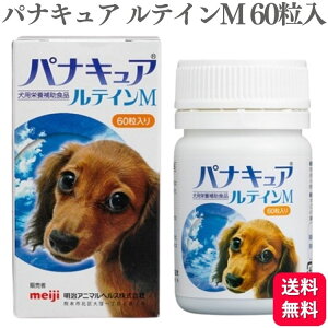 Aj}wX piLAeCM p 60 eC hbOt[h  h{H h{⊮H Tvg Tv XibN Ɖu 