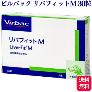 robN otBbgM p 30 Tvg `Lt[o[ ̑ hbOt[h  h{H h{⊮H Tvg Tv XibN Ɖu 