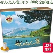 楽天市場】せんねん灸 レギュラー 業務用の通販