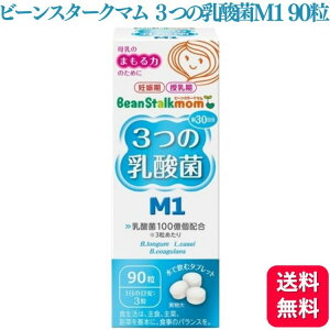 r[X^[N r[X^[N} 3̓_ M1 90 beanstalk _ DP   ňރ^ubg Tvg TGF-  