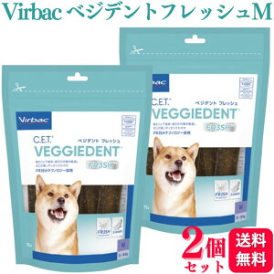 y2Zbgz robN C.E.T. xWfgtbV M 15{ p f^K