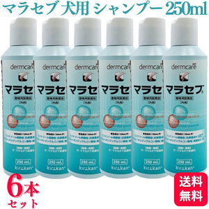 y6Zbgz LJms }Zu pVv[ 250ml 畆a }ZuVv[ Vv[ pi