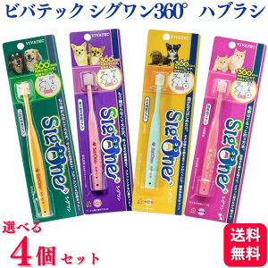 y4Zbgzy4ނIׂz roebN VO 360°nuV ^p ^p qp Lp ybgpuV C ȒP ubVO