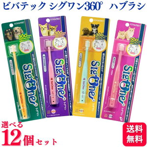 y12Zbgzy4ނIׂz roebN VO 360°nuV ^p ^p qp Lp ybgpuV C ȒP ubVO