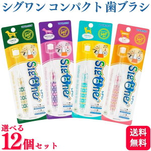 y12Zbgzy4ނIׂz roebN VORpNg 1{ [W ~fBA X[ Lbg uV VO RpNg