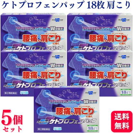 【指定第2類医薬品】【5個セット】 テイコクファルマケア オムニードケトプロフェンパップ 18枚 肩こり 鎮痛