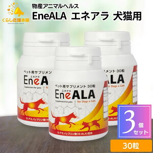 y3Zbgz YAj}wX GlA EneALA Lp 30 Tvg hbOt[h  h{H h{⊮H Tvg Tv XibN Ɖu 