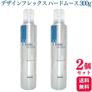 y2Zbgz vtFbVi fUCtbNX n[h[X 300g X^CO