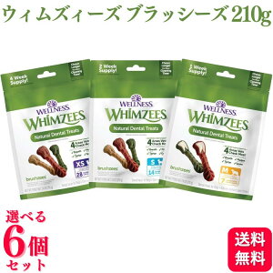 y6Zbgzy3ނIׂz EFybgEWp EBYB[Y ubV[Y XS 28{ / S 14{ / M 7{ n~KLg[c