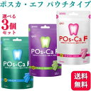 其他口腔用品｜ポスカ・エフ POs-Ca F パウチタイプ 100g ペパーミント マスカット ストロベリー …