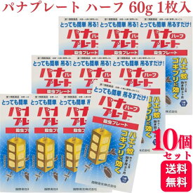 【第1類医薬品】【10個セット】 国際衛生 パナプレートハーフ 殺虫プレート 60g 1枚入 殺虫薬