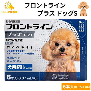 y300~OFFN[|Ώہz tgC vX hbO S 6{ p tgC  S 쏜 pi