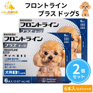 y800~OFFN[|Ώہzy2Zbgz tgC vX hbO S 6{ p tgC  S 쏜 pi