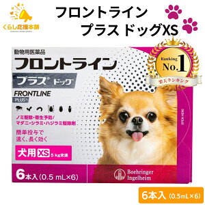 y300~OFFN[|Ώہz tgC vX hbO XS 6{ p tgC  XS 쏜 pi