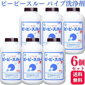 【6個セット】 和協産業 ピーピースルーF 600g 業務用
