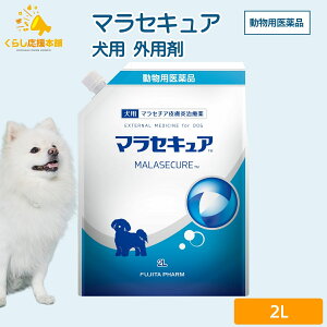 tW^ }ZLA 2l p Vv[ 畆 pi