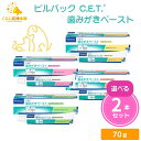 【2個セット】【4種類から選べる】 ビルバック C.E.T. 歯みがきペースト 70g チキン シーフード モルト バニラミント …