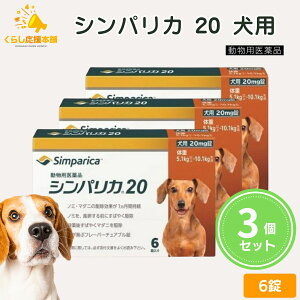 y3Zbgz ]GeBX VpJ 20 p 6 m~ }_j 쏜 pi