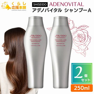 y2Zbgz vtFbVi AfmoC^Vv[A 250ml Vv[ SHISEIDO