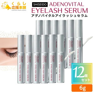 y12Zbgz  vtFbVi AfmoC^ ACbVZ 6g ܂ et ܂уGNXe ܂уp[} SHISEIDO