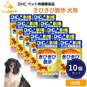 y10ZbgzDHC тюU p 60  Tvg pTv NHi p     Ck hbO DOG Tv N S S r   ̏d U hbO s@V