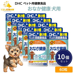 y10Zbgz DHC ȂN p 60 Tvg  Ȃ̒q gC ɂ  Ȃ̊ Ă p Y ȂN S rtBYX tFJX L