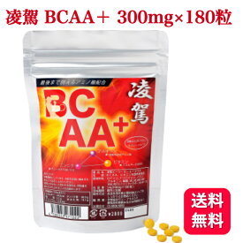 サンプラス 凌駕 BCAA＋ 300×180粒