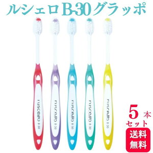 y5{ZbgzGC W[V[ VF B-30 Ob| uV   ͂Ԃ炵  a  uV  f^PA puV  